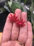 Sparkly 420 Glitter Resin Weed Leaf Studs - Multiple Colors Available || 420 Stoner Gift || Handmade Marijuana Jewelry || Cannabis - Cute Berry Jewelry