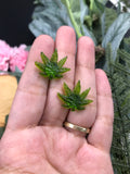 Resin 420 Weed Leaf Studs - Multiple Colors Available || 420 Stoner Gift || Handmade Marijuana Jewelry || Cannabis - Cute Berry Jewelry
