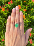3D Print Lime Fruit Ring - Cute Berry Jewelry